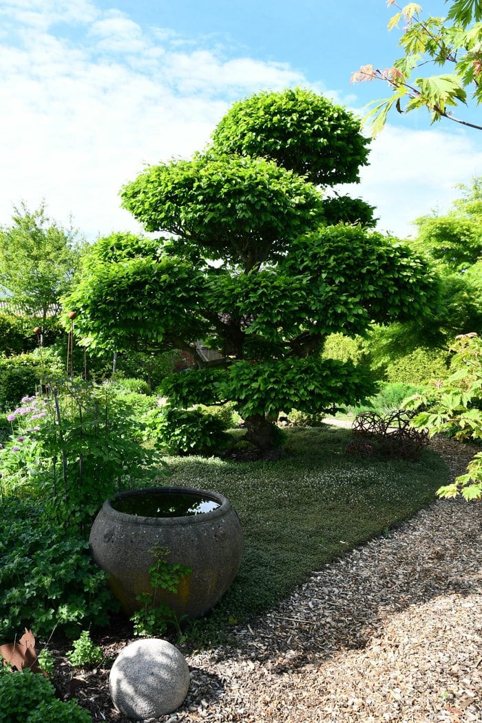 Teilnehmende Gärten Aktion Offener Garten