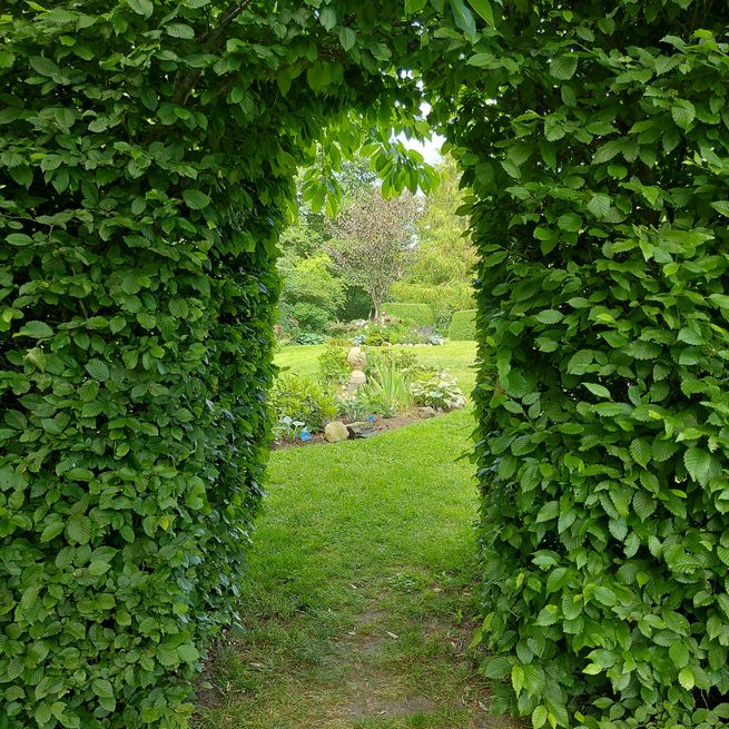 Offener Garten