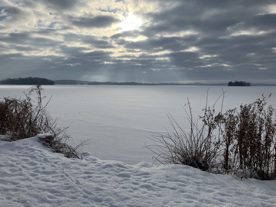 Featured image for “Gartenführer geht in die Gestaltung”