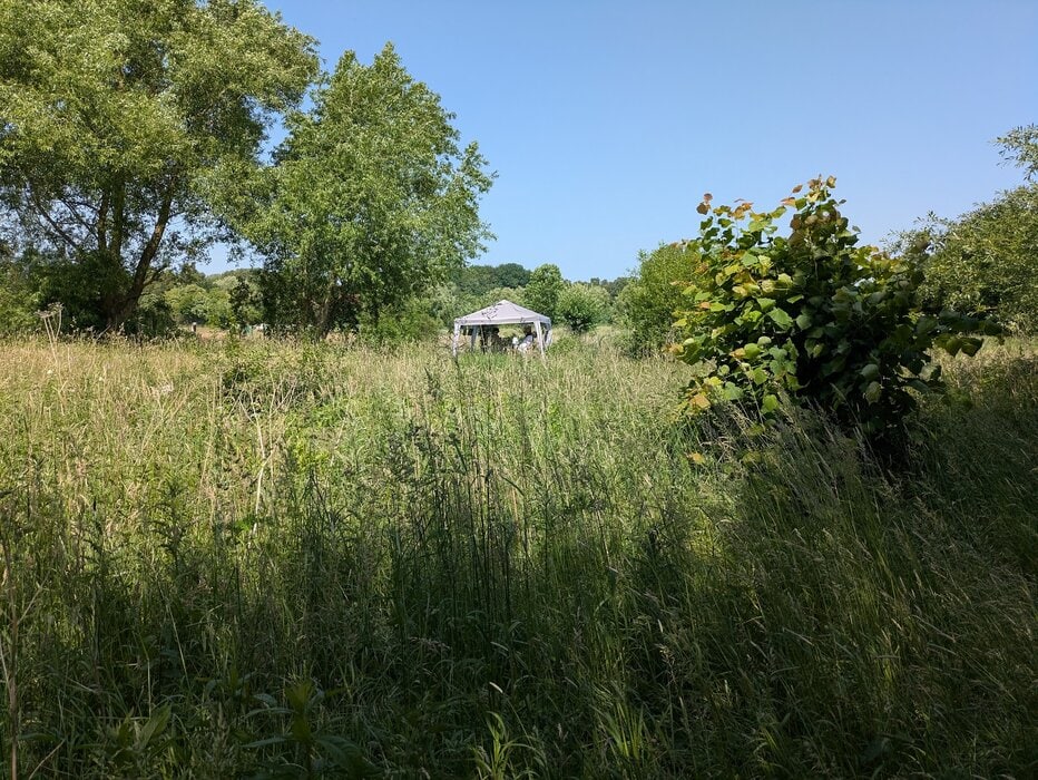 Christina Meyn-Domke