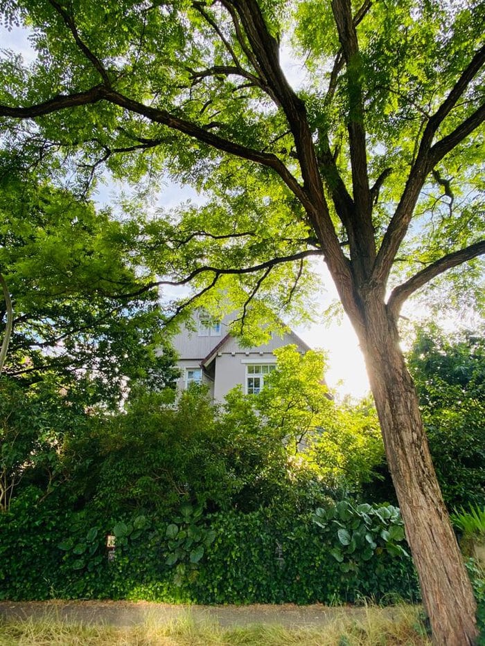Dres. Marianne und Rolf Claus