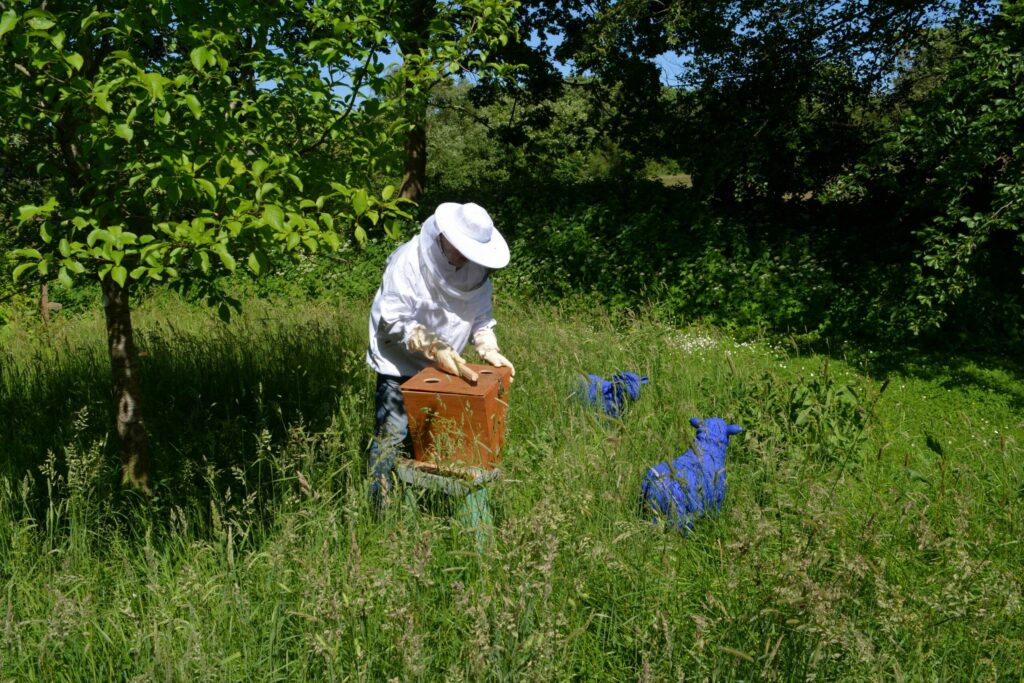 Annekathrin Dockhorn