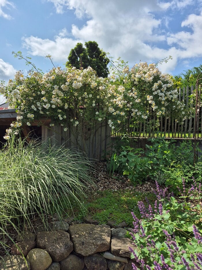 Ursula u. Willfried Berger