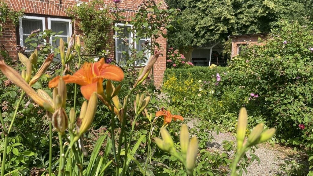 Museum Haus Peters
